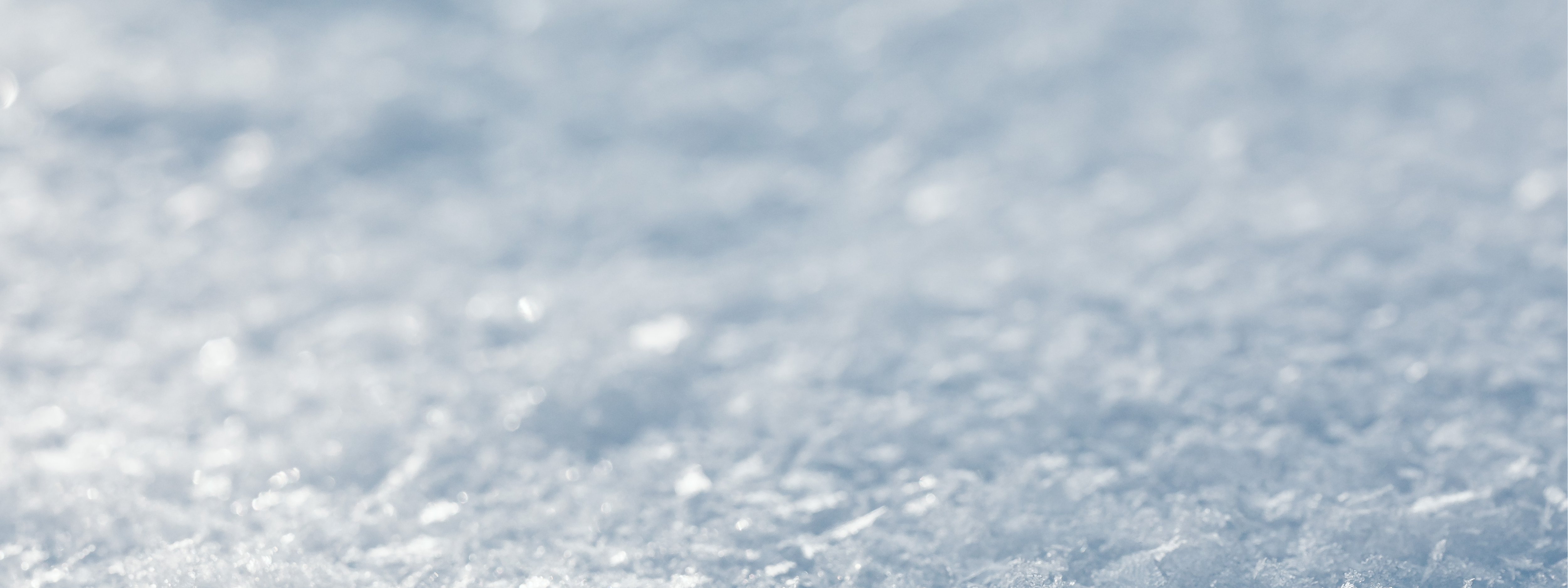WINTER SALE ON NOW